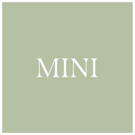 Archive | Mini